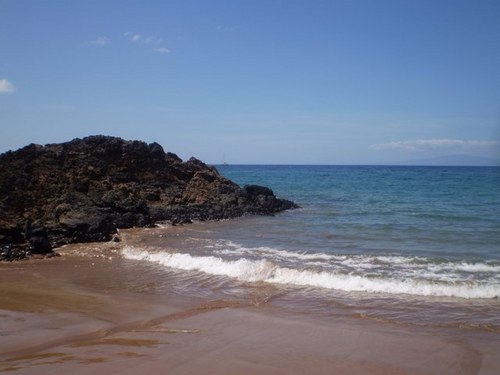 julieeenns's profile picture. Medical Mom, SickKids Family Advocate