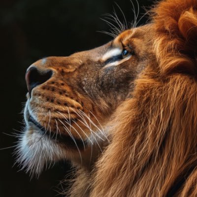 Anjahjr's profile picture. Manchester city 💙 || 🇨🇲|| Juniorketchem@gmail.com