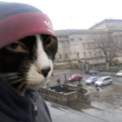 degistirezegim's profile picture. yok