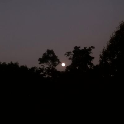 lovebluepink7's profile picture. tentang semua hal yang aku suka