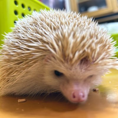 ななさんのプロフィール画像