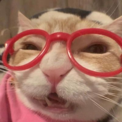 agustinens's profile picture. neglected pou