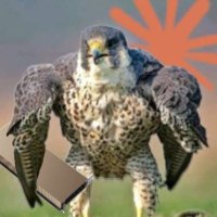 systempatchnote (@systempatchnote) 's Twitter Profile Photo systempatchnote (@systempatchnote) 's Twitter Profile Photo