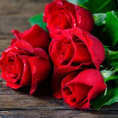 JoyLady37059's profile picture. 