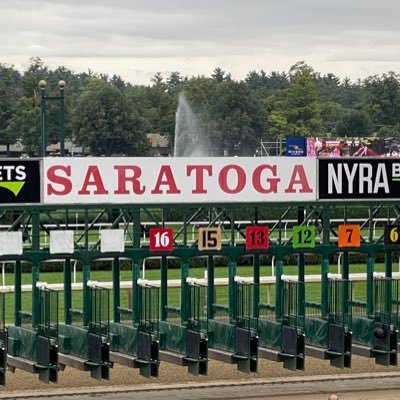 gradedstakes2's profile picture. 