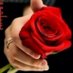 ريم (@naghadghula) Twitter profile photo ريم (@naghadghula) Twitter profile photo