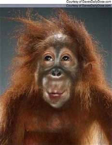 kbrennan66's profile picture. 