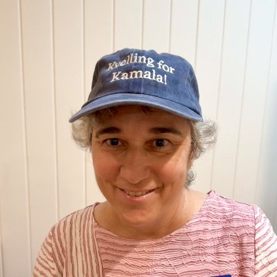 @VTBookFest, @democracyMarker #PostcardsToVoters #Photography @swingblueallian