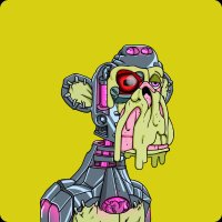 CMDR (@commandercrypt0) 's Twitter Profile