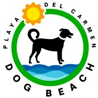 Dog Beach Playa del Carmen (@dogbeachpdc) 's Twitter Profile Photo Dog Beach Playa del Carmen (@dogbeachpdc) 's Twitter Profile Photo