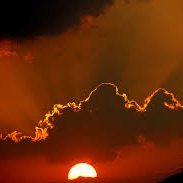 vinhphanth10163's profile picture. To the Moon