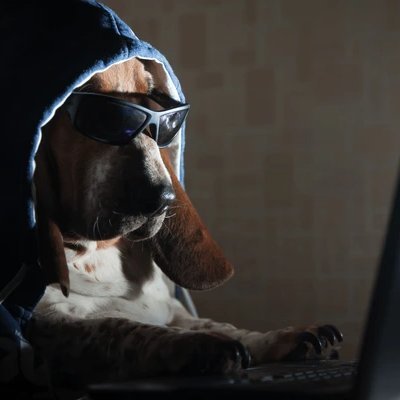 I put the sigh in cyber. My opinions are worthless so don't pay too much attention.