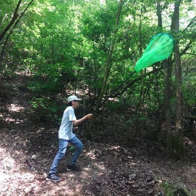 昆虫が大好き。
カマキリ、カブトムシ、クワガタムシ、奇蟲(サソリ、ムカデ、ナナフシ)が大好きです。蟲神器にハマり中。昆虫ブリーダーになるのが夢!
そんな中学生の言葉を代弁したり、ナカノヒト(親w)が出てきて発信していきます。