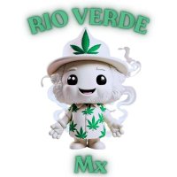 RIO VERDE MX (@rivrdmx) 's Twitter Profile