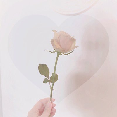 yuno_07210721's profile picture. 仙台住み/20代🌱🌸のんびりゆったりとお話したくて日常垢始めてみました🎀良かったらフォローよろしくお願いします🤍 like♡カフェ、音楽、カラオケ、作詞、お洋服、アイドル、美容、写真、お花、すみっコぐらし、可愛い物など♡ 前向きに頑張りたい♡