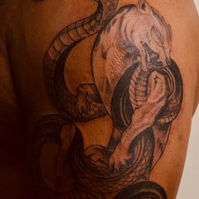 Quik_Mongoose's profile picture. 