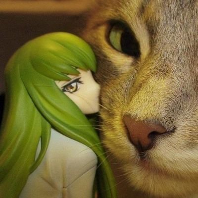 r6ismylif3's profile picture. gamer  |  𝒔𝒑𝒓𝒆𝒂𝒅 𝒍𝒐𝒗𝒆, 𝒏𝒐𝒕 𝒉𝒂𝒕e