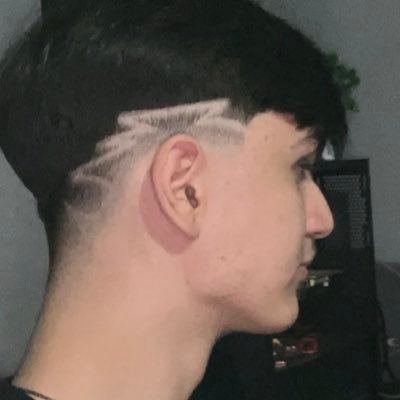 eternariuls's profile picture. .