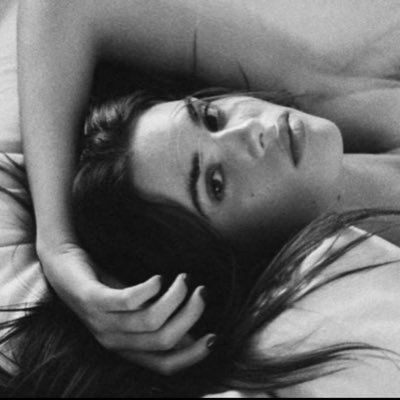 il3xr's profile picture. 