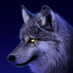 Wolf (@guttywolf) Twitter profile photo