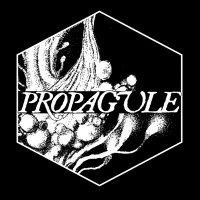 Propagule Magazine (@propaguleco) 's Twitter Profile