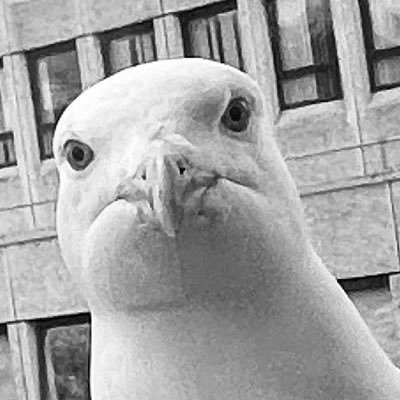 martin_giesel's profile picture. Research Fellow @ University of Aberdeen • Find me here: @martingiesel@bsky.social