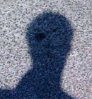 maurizio Profile