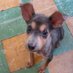𝙷𝚎𝚕𝚊 𝙼𝚘𝚛𝚎 🐶 (@hela_more) Twitter profile photo 𝙷𝚎𝚕𝚊 𝙼𝚘𝚛𝚎 🐶 (@hela_more) Twitter profile photo