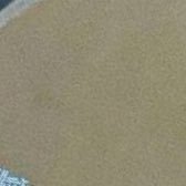 z_narnia's profile picture. 