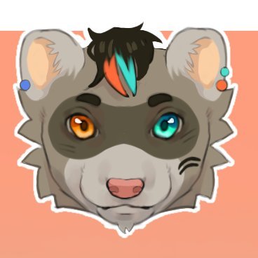 JacobDaDook Profile