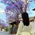 Lily Yeo (@lilyyeo428539) Twitter profile photo Lily Yeo (@lilyyeo428539) Twitter profile photo