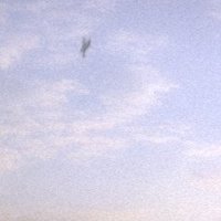 Paul Doomer (@d_kael86318) 's Twitter Profile