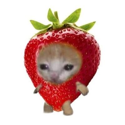 HalizaSybilla's profile picture. 