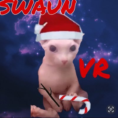 ShawElDelasVR's profile picture. 