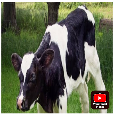 nand_kumar2134's profile picture. 