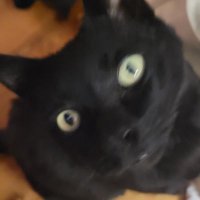 silly (@soakybunn) 's Twitter Profile