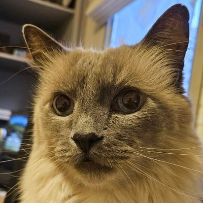 flavia_geo's profile picture. 