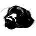 SPARKDOGMEDIA (@sparkdogmedia) Twitter profile photo SPARKDOGMEDIA (@sparkdogmedia) Twitter profile photo