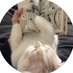 bt (@99mogee) Twitter profile photo bt (@99mogee) Twitter profile photo