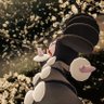isanapokego's profile picture. ポケGO好き。色違ポケモンに翻弄される日々。色違ポケモンがなにより好物。色違新ポケ実装されたら、そのたび大騒ぎ(ꐦ°᷄д°᷅) 勝手に上って下がって、ぐるぐるのよれよれ。 と、ポケモンAR撮影好き(;´`ꈊ´) My World目指し奮闘中( ◜௰◝و(و "♪ 。‥弱気中も強気中も、高笑いさw←をい︎( ≖ᴗ≖ )و