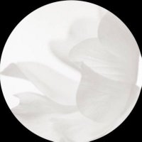 َ (@mmoniirh) 's Twitter Profile