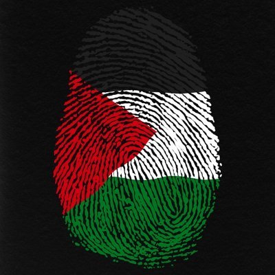 yusufkazim555's profile picture. 