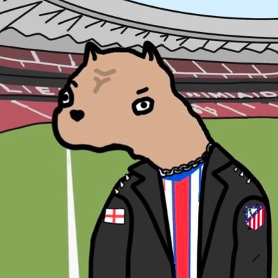 Maño y colchonero.
Opinión sobre la actualidad del Atlético de Madrid.