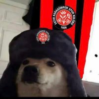 Bob Marley Mert (@brwetgi) 's Twitter Profile Photo Bob Marley Mert (@brwetgi) 's Twitter Profile Photo