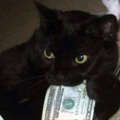 tooomyang123's profile picture. 区块链爱好者丨 金狗挖掘者丨一级亏钱运动员丨