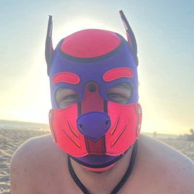 18+ only | 08/22/22 | Single | They/Them | | Big Brother: @PupWolfie_ |