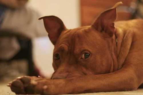 IsThatAllUGot1's profile picture. To Know Me Is To Love Me!