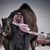 احمد العارضي (@3arde) Twitter profile photo