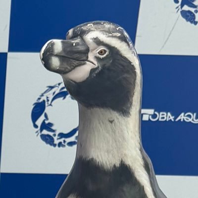 2024.08.27〜60規格水槽/エーハイム2217/zc100α/ゼンスイQQ1 で運用中!無言フォロー失礼いたします🙇♂️🙇♂️アドバイスいただけると大変嬉しいです🐠 釣りも大好きです🎣 生きてます!