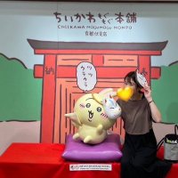 ゆう (@yunapi21) Twitter profile photo